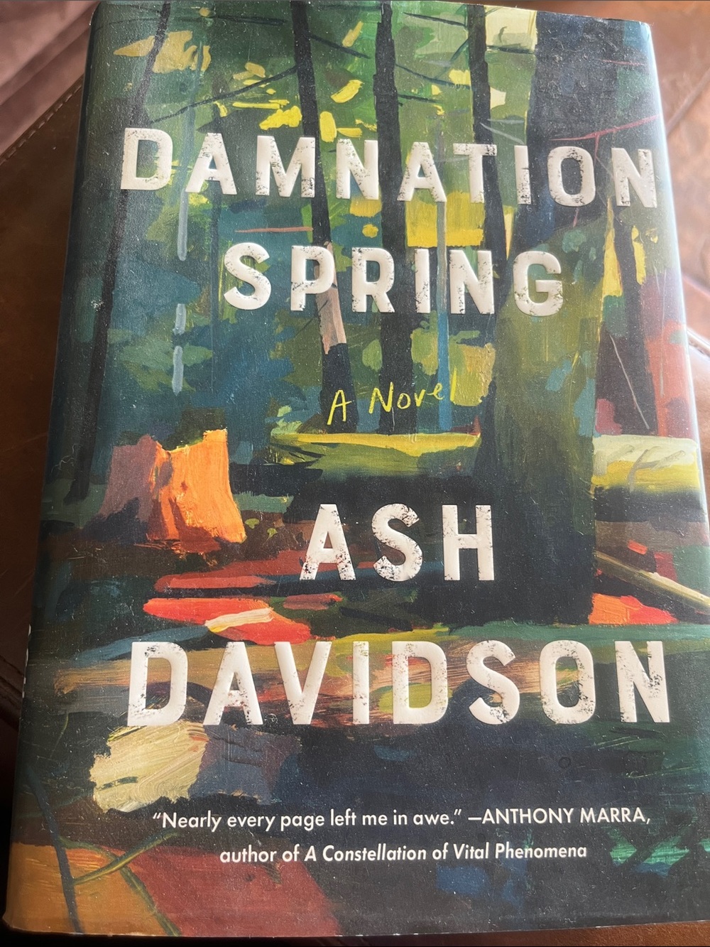 Hardback book, Damnation Spring, by Ash Davidson.